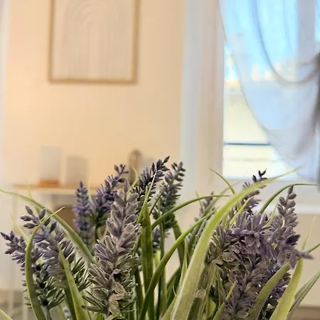Maison Centre Holiday home Sisteron
